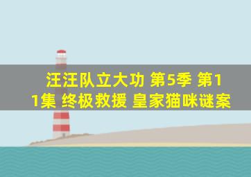 汪汪队立大功 第5季 第11集 终极救援 皇家猫咪谜案